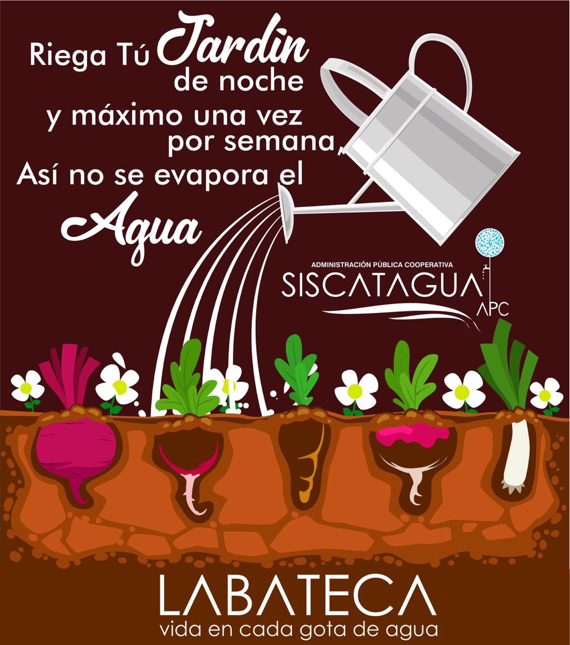 Campaña Riego de Jardín Nocturno